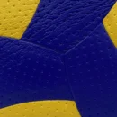 Size 5 Volleyball