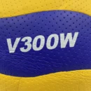 Size 5 Volleyball