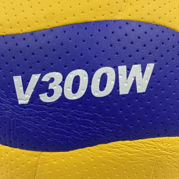 Size 5 Volleyball