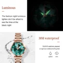 Affordable luxury watch with diamonds